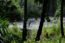 DSC_0512.jpg